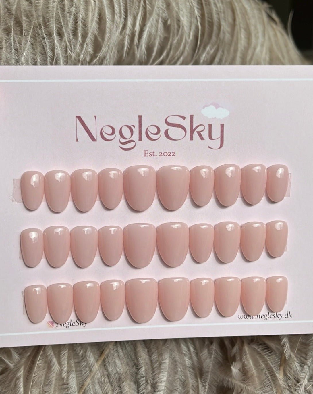 Ariel - NegleSky