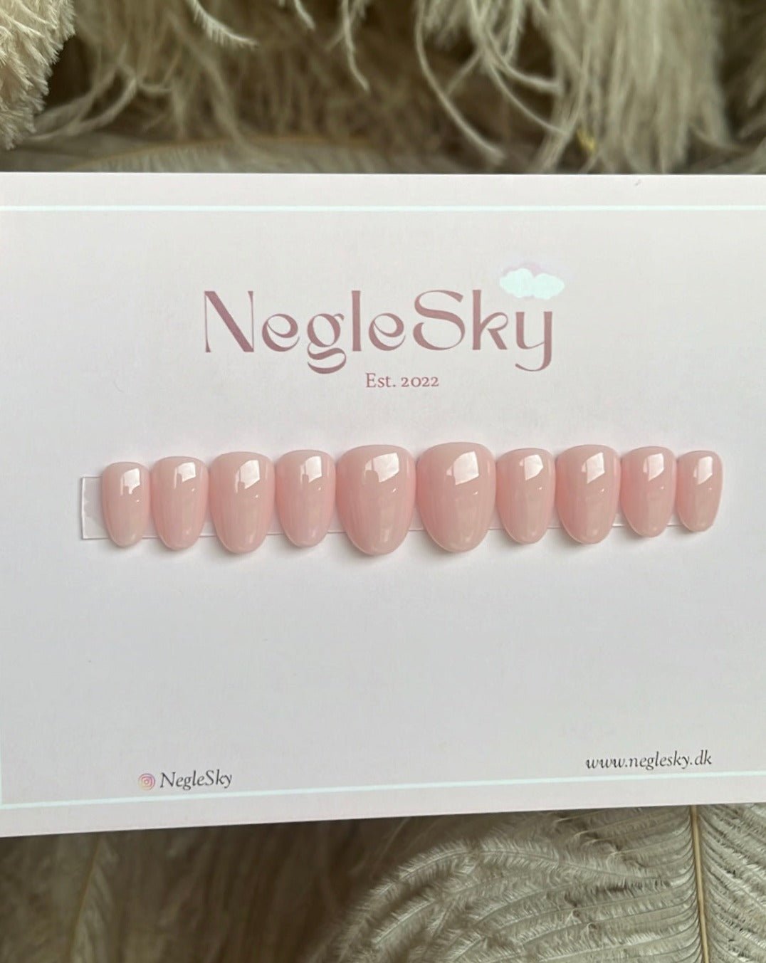 Ariel - NegleSky