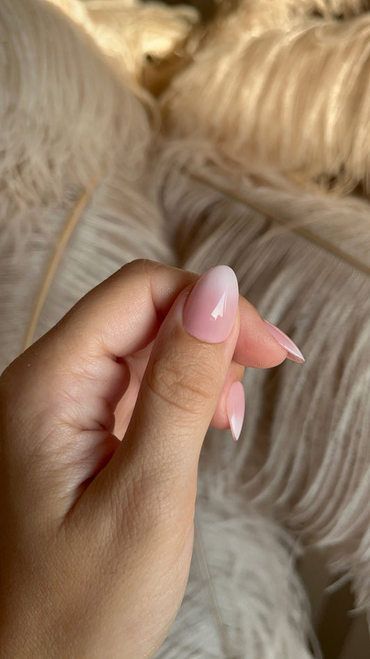 Baby Boomer 2.0 - NegleSky