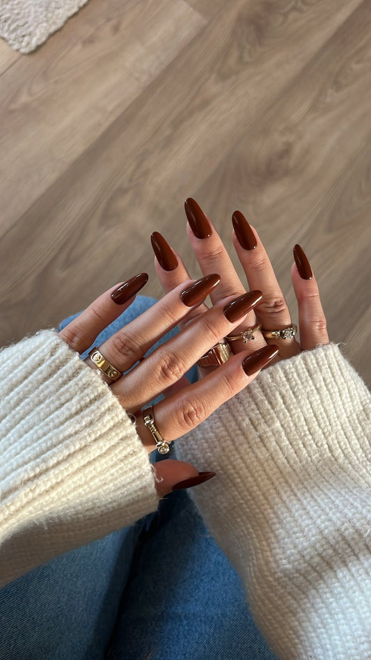 Chestnut Delight - NegleSky