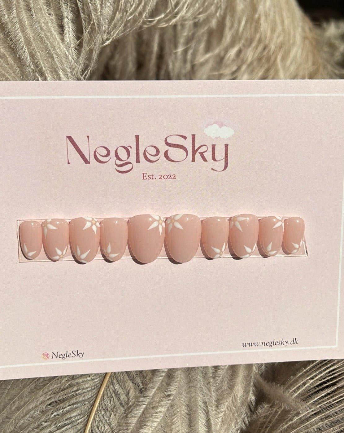 Dainty Daisy - NegleSky