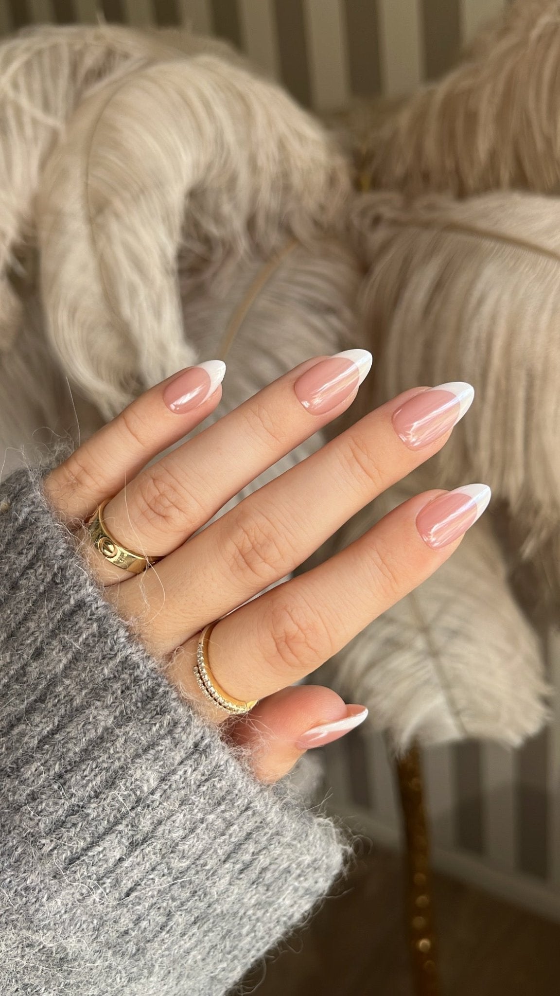 French Chrome - NegleSky