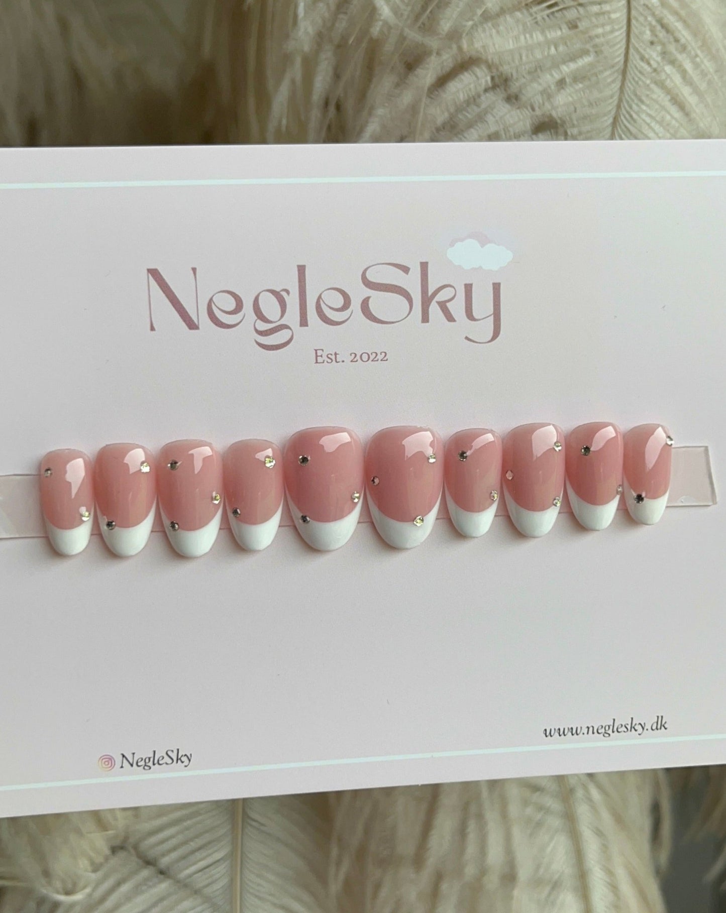 French Spice - NegleSky