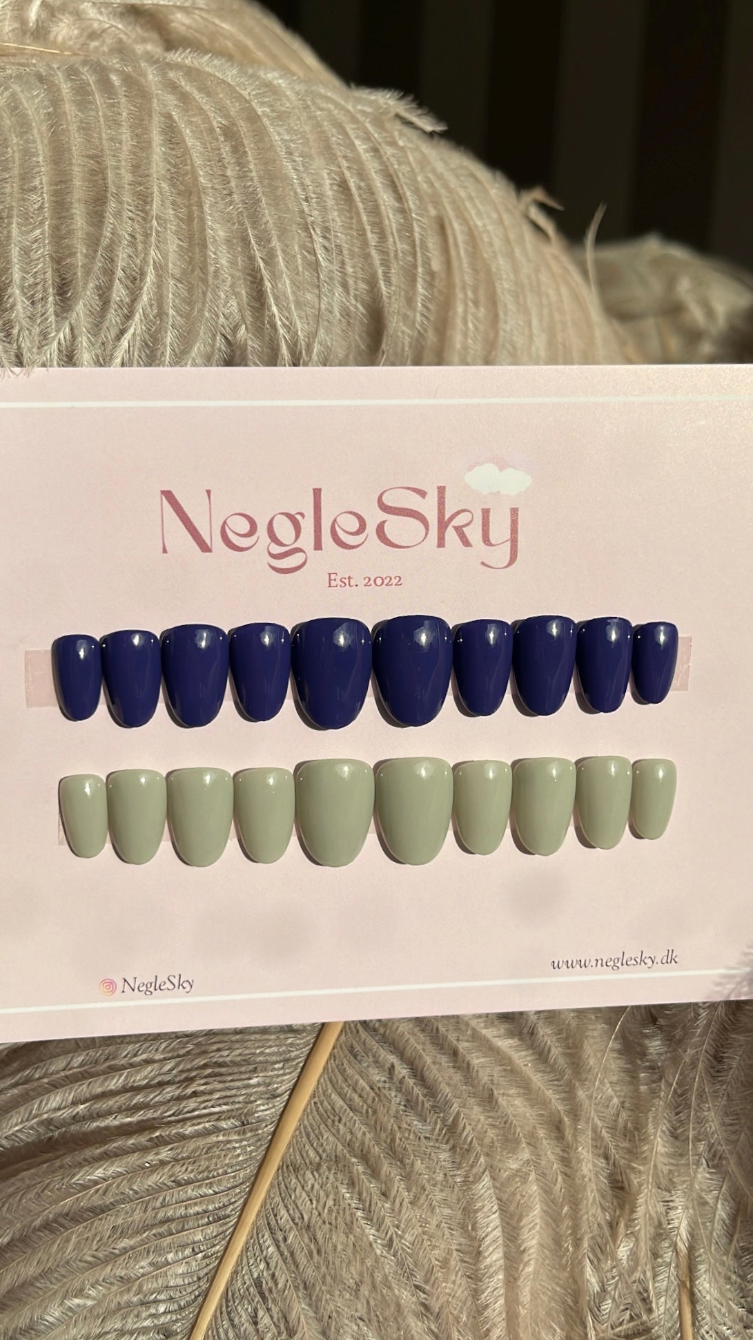 The Solid Plan - NegleSky