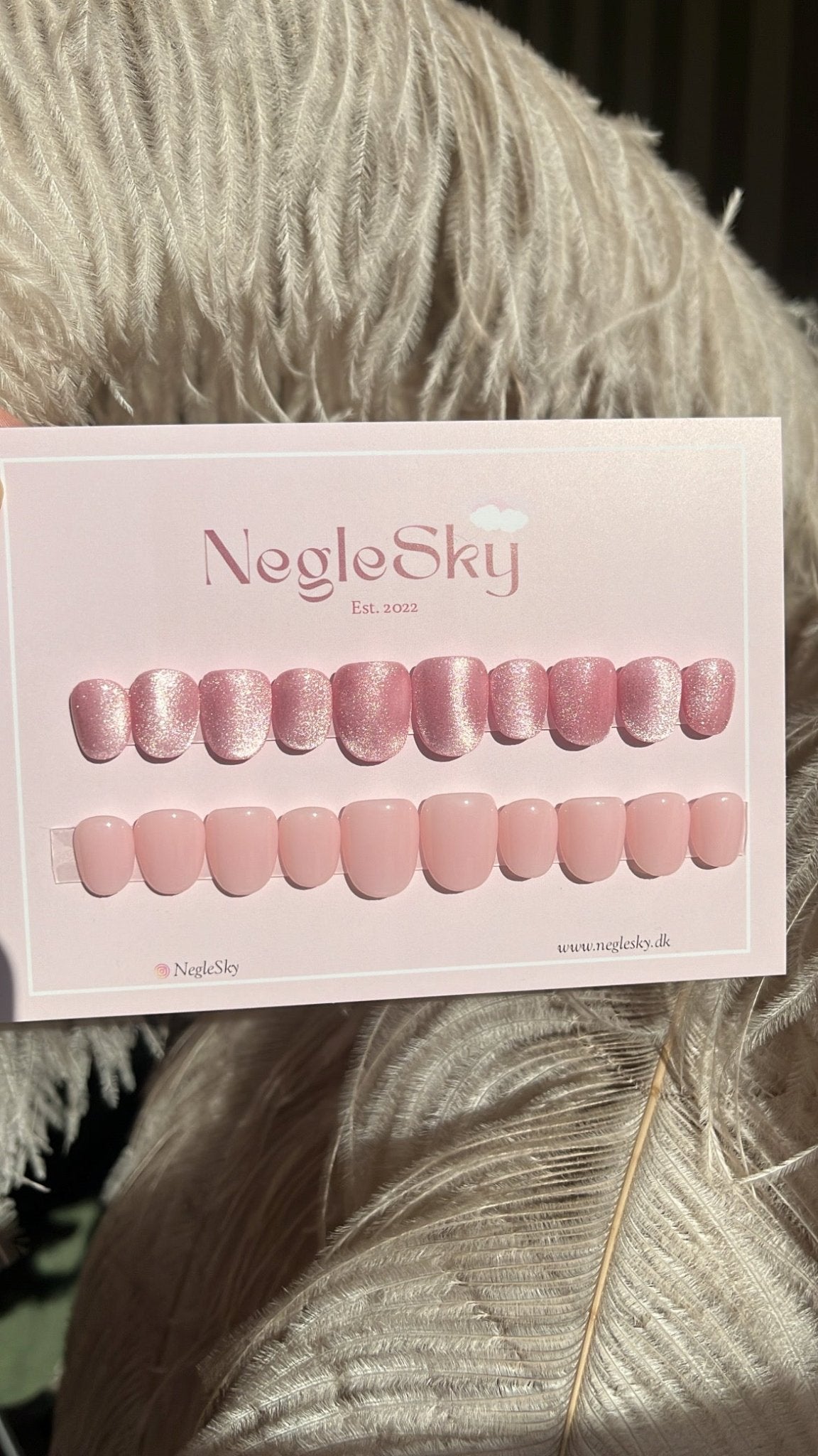 The Solid Plan - NegleSky
