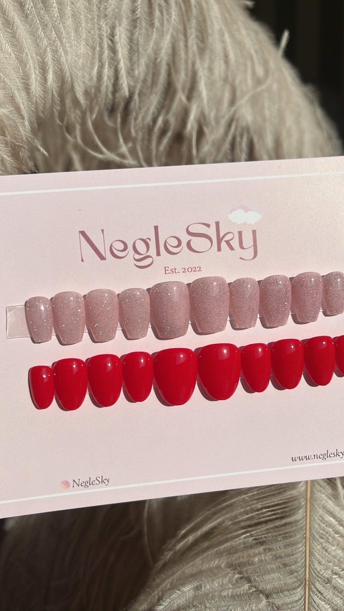 The Solid Plan - NegleSky