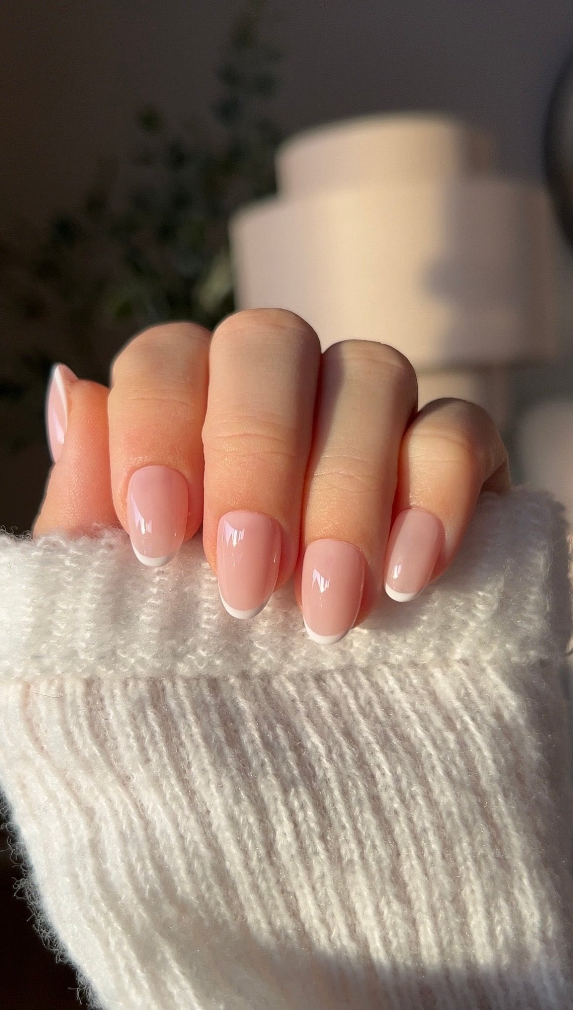 Baby French - NegleSky