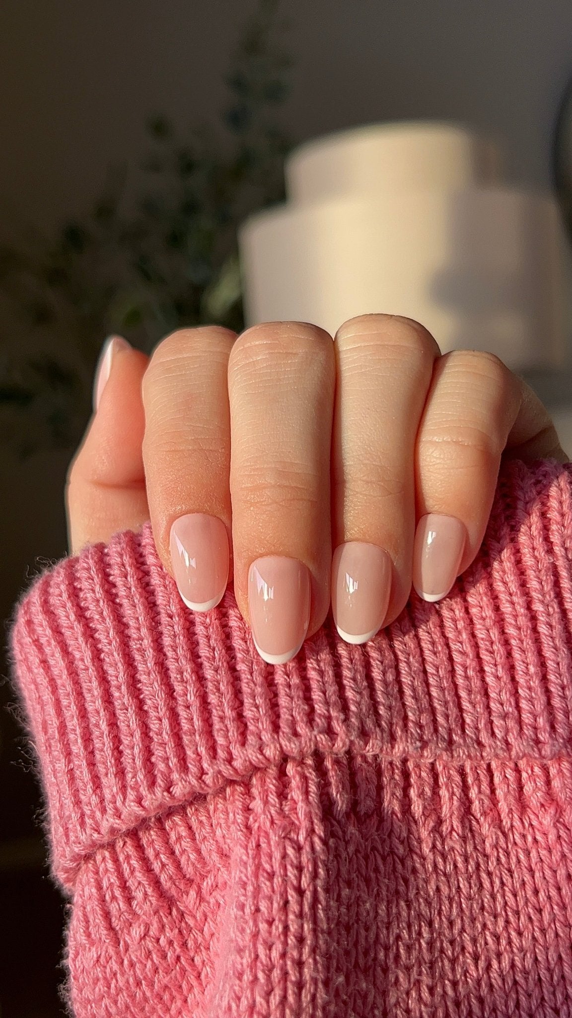 Baby French - NegleSky