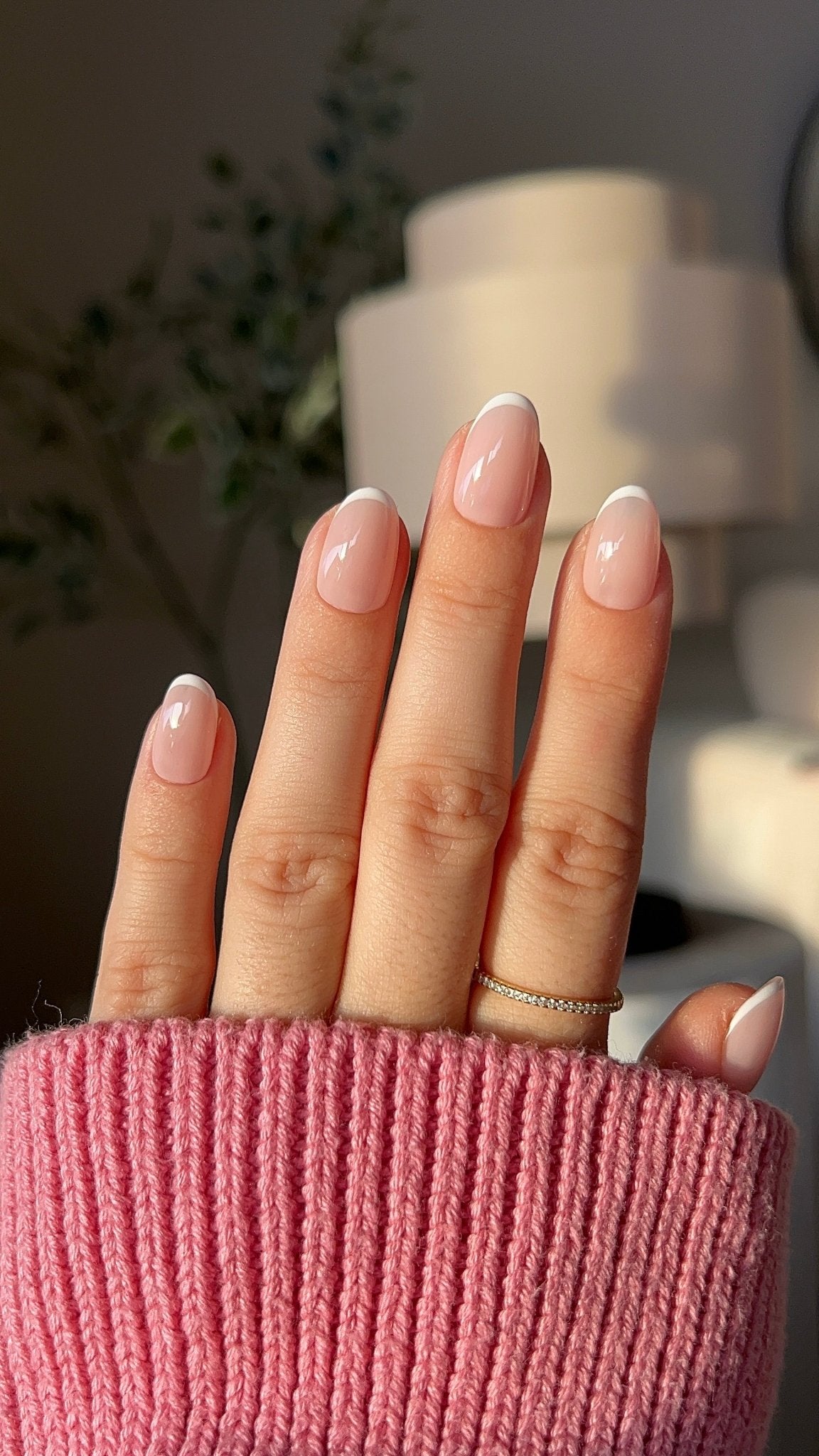 Baby French - NegleSky