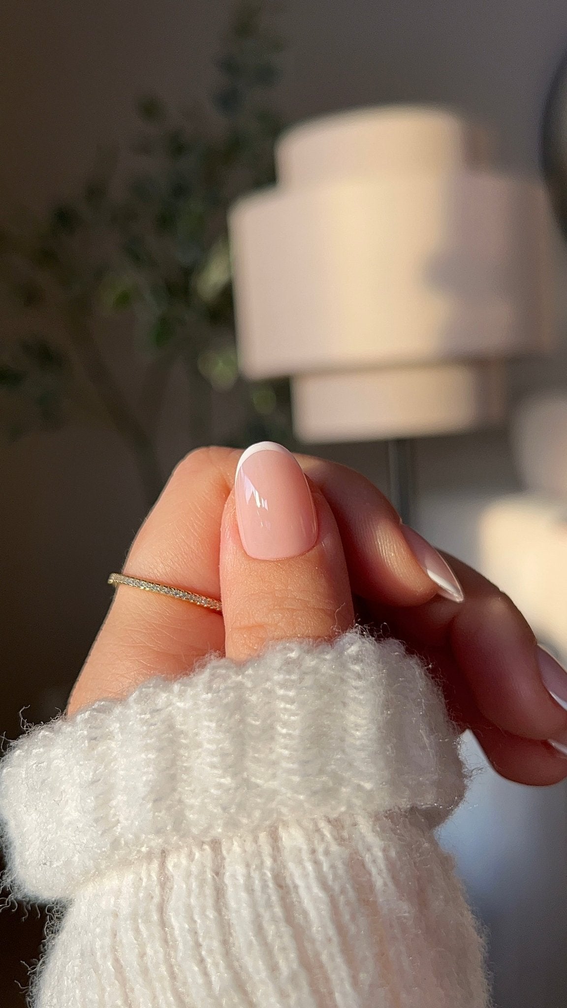 Baby French - NegleSky