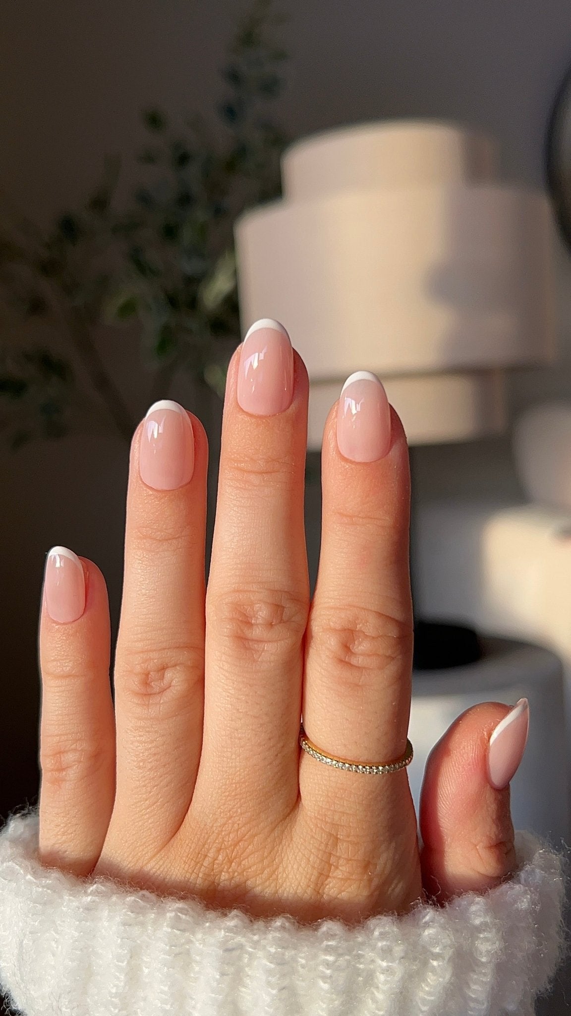 Baby French - NegleSky