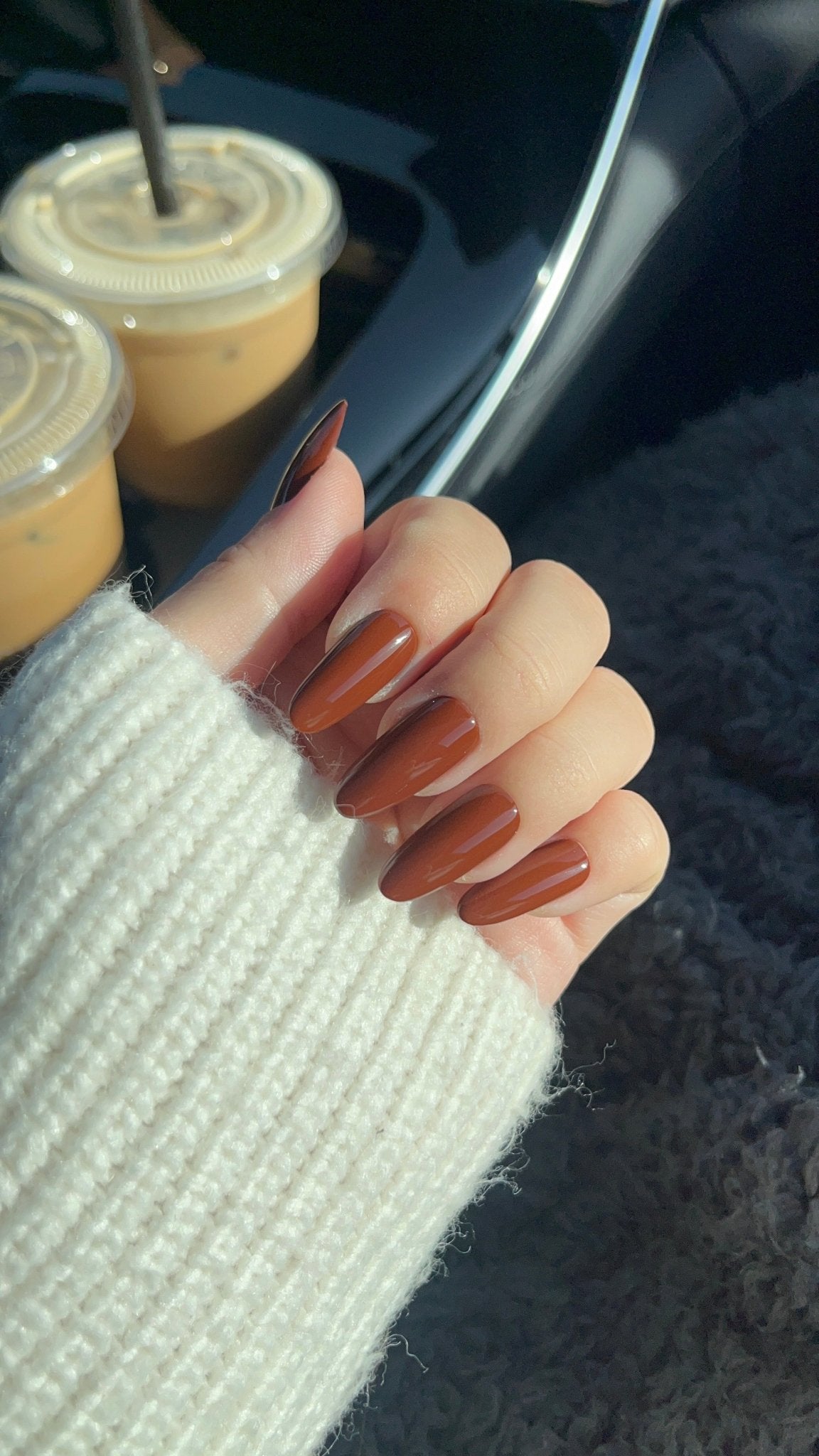 Chestnut Delight - NegleSky